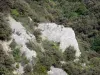 Gole della Sainte-Beaume - Parete di roccia e vegetazione