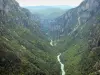 Gole del Verdon - Grand Canyon du Verdon: Verdon fiume fiancheggiato da alberi e rocce (roccia) nel Parco Naturale Regionale del Verdon