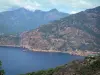 Le golfe de Porto - Golfe de Porto: Station balnéaire de Porto avec sa tour génoise, falaises de granit rouge et montagnes surplombant la mer méditerranée