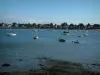 Golfo de Morbihan - Mar salpicado de barcos y veleros, con las casas de la costa en la distancia