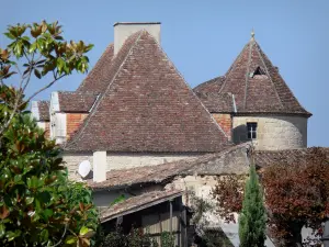 Gontaud-de-Nogaret - Roofs of the village