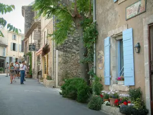 Gordes - Strasse des Dorfes mit Häusern, Pflanzen und Blumentöpfen