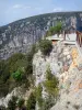 Gorges de l'Ardèche - Belvédère du Serre de Tourre