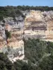 Gorges de l'Ardèche - Falaises calcaires et végétation des gorges