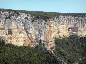 Gorges de l'Ardèche - Falaises calcaires et végétation des gorges
