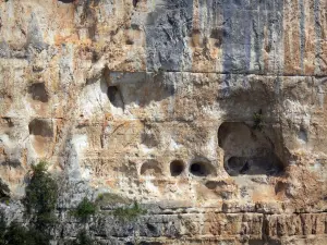 Gorges de l'Ardèche - Détail d'une falaise calcaire