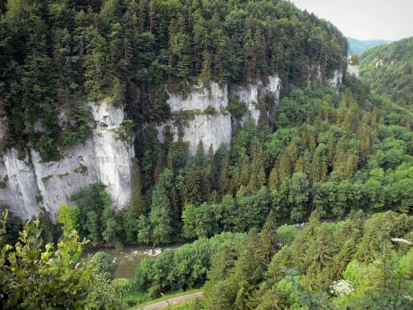 Gorges du Doubs - Rivière Doubs, arbres et falaises (parois rocheuses)
