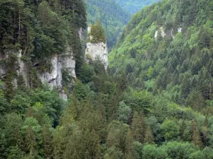 Gorges du Doubs - Parois rocheuses et forêt (arbres)