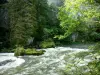 Gorges du Doubs - Rivière Doubs, arbres et falaise (paroi rocheuse)