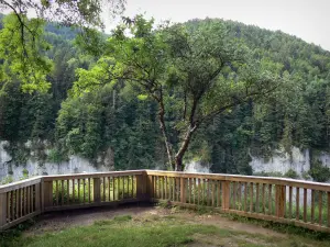 Gorges du Doubs - Belvédère avec vue sur les falaises (parois rocheuses) et les arbres (forêt)