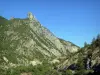 Gorges de l'Escharis - Vallée de la Roanne : paysage montagneux