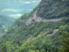 Gorges du Flumen - Tunnel des gorges, parois rocheuses et arbres ; dans le Parc Naturel Régional du Haut-Jura