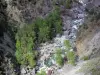 Gorges du Guil - Torrent du Guil, arbres et rochers ; dans le Parc Naturel Régional du Queyras