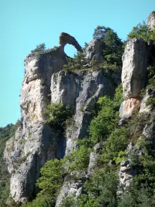 Gorges de la Jonte - Arcade des Bergers