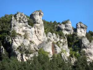 Gorges de la Jonte - Rochers et falaises (parois rocheuses) calcaires entourés de verdure