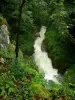 Gorges de la Langouette - Gorges, rivière (la Saine) et arbres