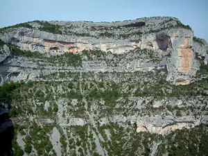Gorges de la Nesque - Falaise abrupte (paroi rocheuse) et arbres du canyon sauvage
