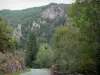 Gorges de la Sioule - Route bordée d'arbres et de parois rocheuses