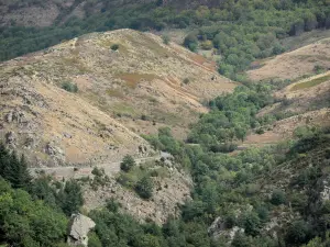 Gorges du Tapoul - Parc National des Cévennes : route des gorges