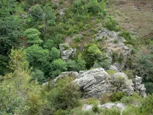 Gorges du Tapoul - Parc National des Cévennes : rochers, arbres et végétation