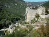 Gorges du Tarn - Château de Prades et ses terrasses dominant la rivière Tarn ; sur la commune de Sainte-Enimie, dans le Parc National des Cévennes