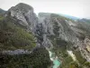 Gorges du Verdon - Grand canyon du Verdon : vue depuis le Point Sublime sur la rivière Verdon, les falaises (parois rocheuses) et les arbres ; dans le Parc Naturel Régional du Verdon