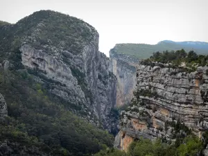 Gorges du Verdon - Grand canyon du Verdon : falaises (parois rocheuses) ; dans le Parc Naturel Régional du Verdon