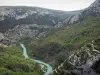 Les gorges du Verdon - Gorges du Verdon: Grand canyon du Verdon : rivière Verdon bordée d'arbres et de falaises (parois rocheuses) ; dans le Parc Naturel Régional du Verdon