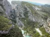 Gorges du Verdon - Grand canyon du Verdon : vue depuis le Point Sublime sur la rivière Verdon, les falaises (parois rocheuses) et les arbres ; dans le Parc Naturel Régional du Verdon