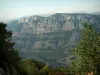 Les gorges du Verdon - Gorges du Verdon: De la Corniche sublime, vue sur les arbres et les falaises calcaires (parois rocheuses) du canyon (Parc Naturel Régional du Verdon)