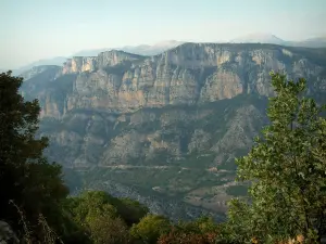 Gorges du Verdon - De la Corniche sublime, vue sur les arbres et les falaises calcaires (parois rocheuses) du canyon (Parc Naturel Régional du Verdon)