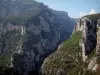 Les gorges du Verdon - Gorges du Verdon: Garrigue, arbres et parois rocheuses (falaises calcaires) du canyon (Parc Naturel Régional du Verdon)