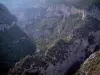 Gorges du Verdon - Des balcons de la Mescla, vue sur les parois rocheuses, les arbres (forêts) et la garrigue (Parc Naturel Régional du Verdon)