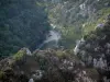 Gorges du Verdon - Des balcons de la Mescla, vue sur les parois rocheuses, les arbres (forêts) et la garrigue (Parc Naturel Régional du Verdon)