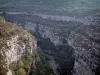 Gorges du Verdon - Falaises calcaires (parois rocheuses), garrigue et arbres (Parc Naturel Régional du Verdon)