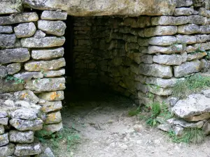 Grabhügel von Bougon - Neolithische Nekropole von Bougon - megalithische Stätte: Eingang eines Grabhügels