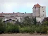 Gramont - Castillo con vistas a las casas de la aldea