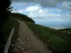 Grand Ballon - Percorso alla parte superiore della montagna (Parco Naturale Regionale dei Ballons des Vosges)