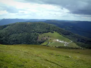 Grand Ballon - Altitudine pascolo e colline boscose in background (Parco Naturale Regionale dei Ballons des Vosges)