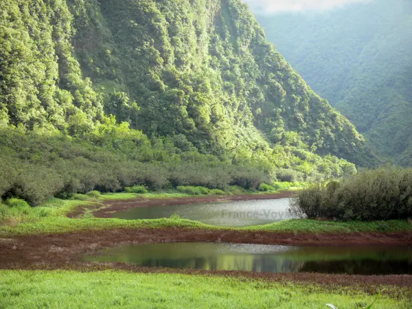 Grand Étang - Tourism, holidays & weekends guide in the Réunion