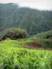 Grand Étang - Terraplenes verdes con vistas al lago