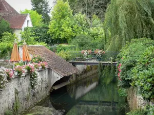 Grand Morin valley - Valley of the Grand Morin painters: River Grand Morin, former lavoir (communal laundry washing place), gateway, house, flowers and trees; in Crécy-la-Chapelle