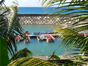 Grand'Rivière - View of the harbor fishing boats, with palm trees palms in the foreground