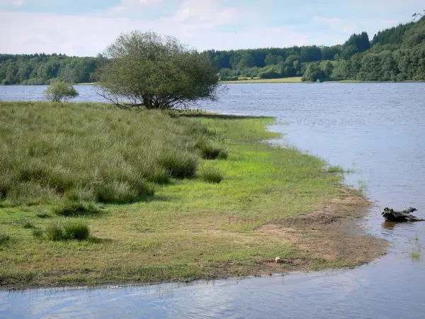 Grandes lagos de Morvan - Lago San Agnan (lago artificial) y sus bancos en el Parque Natural Regional de Morvan