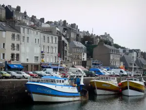 Granville - Port : bateaux de pêche amarrés au quai et maisons de la ville