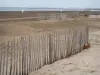 Le Grau-du-Roi - Sand beach and sea