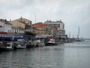 Le Grau-du-Roi - Tiendas de puerto de pesca, barcos de pesca, muelle Colbert, casas y edificios