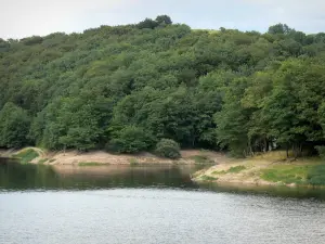 Great lakes of the Morvan - Pannecière lake (artificial lake) and its wooded bank; in the Morvan Regional Nature Park