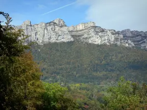 Grésivaudan valley - Grésivaudan forest (trees) dominated by the cliffs of the Chartreuse mountain range