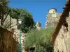 Grimaud - Ruinas del castillo que domina los árboles y las casas de la villa medieval